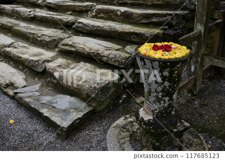 Flower water fountain at Nyutohime Shrine in Katsuragi Town, Wakayama Prefecture 117685123