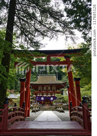 Nyutsuhime Shrine in Katsuragi Town, Wakayama Prefecture 117685126
