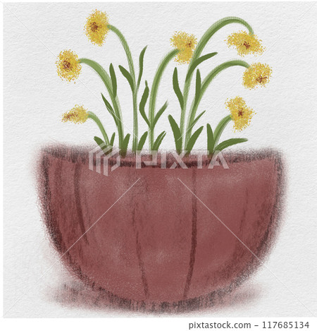 Yellow flowers in a pot so beautiful Yellow flowers in a pot so beautiful 117685134