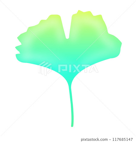 Ginkgo biloba 117685147