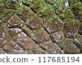Mossy rock wall 117685194