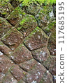 Mossy rock wall 117685195