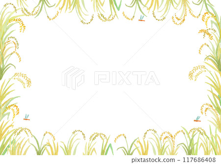 Watercolor painted rice ears background Watercolor painted rice ears background 117686408