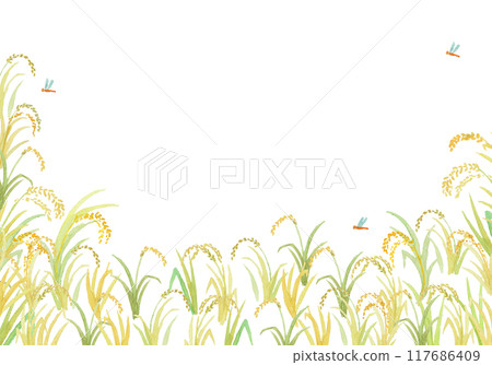 用水彩畫的稻穗背景 117686409