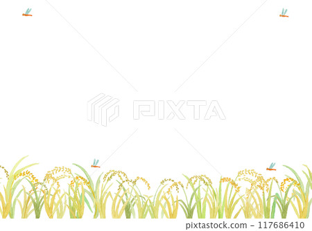 Watercolor painted rice ears background 117686410