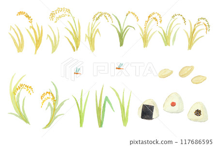 水彩畫的稻穗和飯糰套裝 117686595