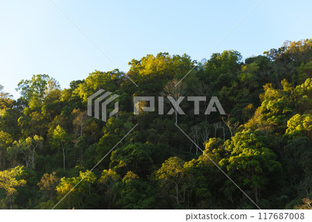 Doi Pha Hom Pok National Park and The Garden at Angkhang mountain, chiangmai Thailand. 117687008