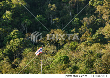 Doi Pha Hom Pok National Park and The Garden at Angkhang mountain, chiangmai Thailand. 117687011