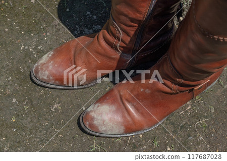 Moldy brown boots - mold growing on women's leather goods Moldy brown boots - mold growing on women's leather goods 117687028