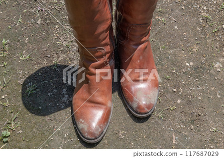 Moldy brown boots - mold growing on women's leather goods Moldy brown boots - mold growing on women's leather goods 117687029