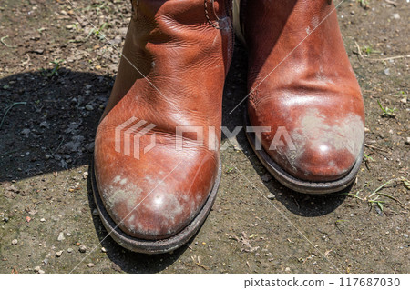 Moldy brown boots - mold growing on women's leather goods Moldy brown boots - mold growing on women's leather goods 117687030