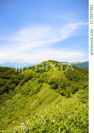 White sandy mountain White sandy mountain 117687463
