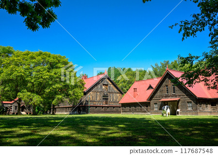 札幌農學院第二農場Summer_6637 札幌農學院第二農場Summer_6637 117687548