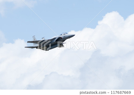 航空自衛隊 F-15DJ 鷹 航空自衛隊 F-15DJ 鷹 117687669