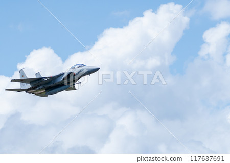 航空自衛隊 F-15DJ 鷹 117687691