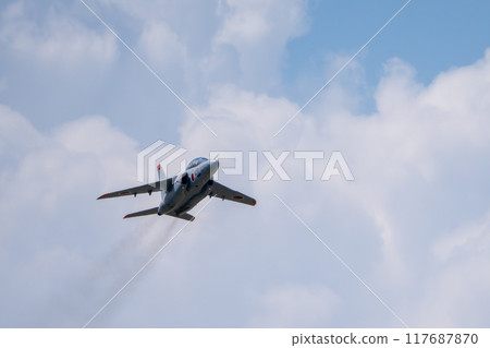 Japan Air Self-Defense Force T-4 trainer 117687870