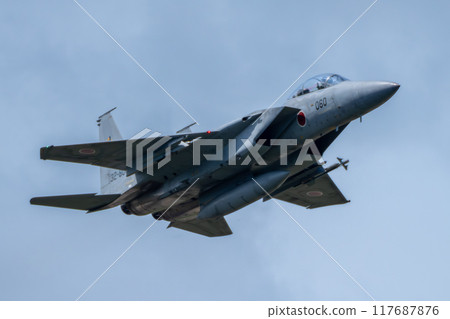 Japan Air Self-Defense Force F-15 Eagle 117687876