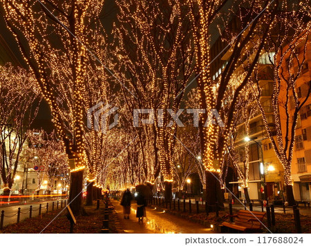 SENDAI Pageant of Light (Sendai City, Miyagi Prefecture) SENDAI Pageant of Light (Sendai City, Miyagi Prefecture) 117688024