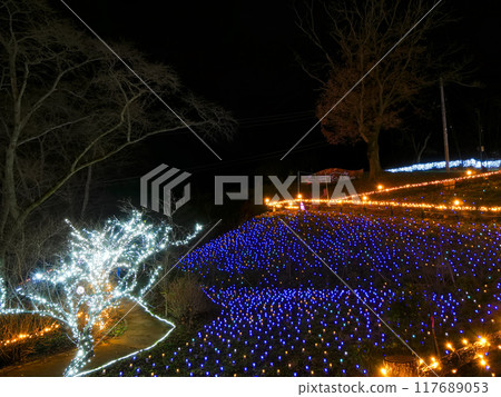 柴田幻想燈飾(船岡城跡公園)【宮城縣柴田町】 柴田幻想燈飾(船岡城跡公園)【宮城縣柴田町】 117689053