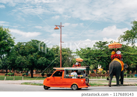 Ayutthaya Historical Park elephant tour in Thailand 117689143