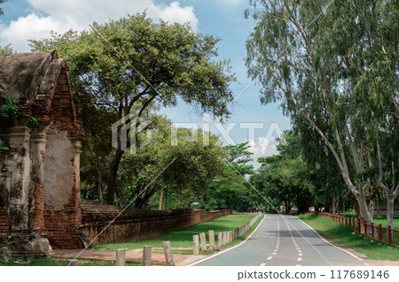 Ayutthaya Historical Park forest road in Thailand 117689146