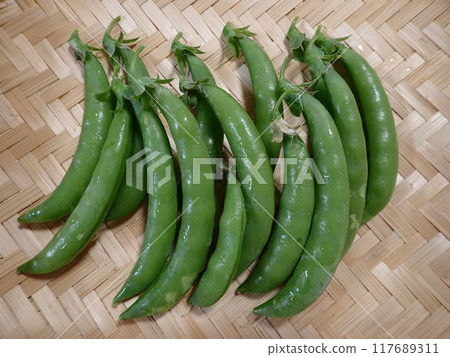 豌豆 豌豆 117689311