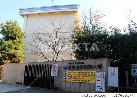 Nara Saho College 117690174