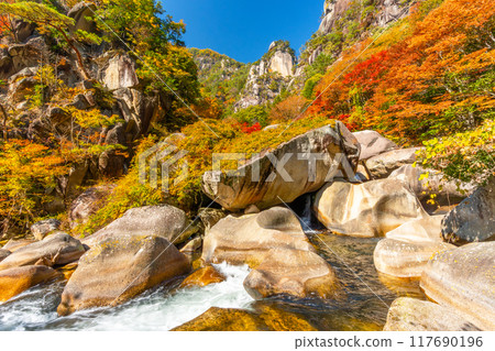 Shosenkyo Gorge: Spectacular views of the valley in autumn (Yamanashi Prefecture) Shosenkyo Gorge: Spectacular views of the valley in autumn (Yamanashi Prefecture) 117690196