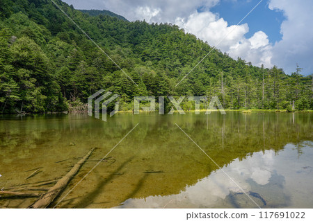 夏季的上高地,明神池/長野縣 夏季的上高地,明神池/長野縣 117691022