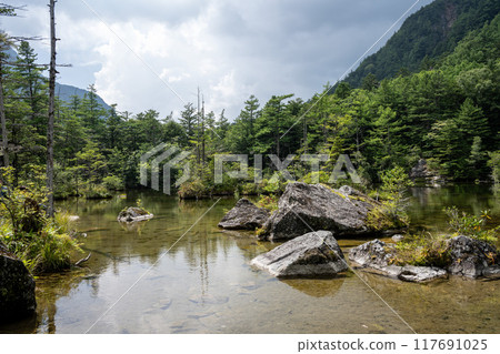 夏季的上高地，明神池/長野縣 117691025
