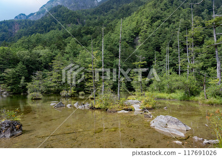 夏季的上高地，明神池/長野縣 117691026