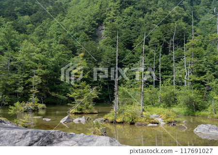 Kamikochi in summer, Myojin Pond, Nagano Prefecture Kamikochi in summer, Myojin Pond, Nagano Prefecture 117691027