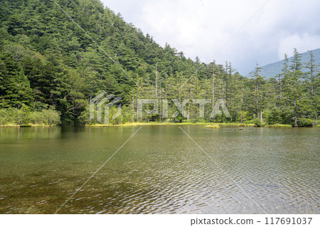 夏季的上高地，明神池/長野縣 117691037