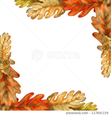 Border of autumn oak leaves. Watercolor illustration of a square template in orange, red, brown colors, hand drawn. Natural foliage texture for harvest festival, certificate, award, menu, invitations Border of autumn oak leaves. Watercolor illustration of a square template in orange, red, brown colors, hand drawn. Natural foliage texture for harvest festival, certificate, award, menu, invitations 117691159