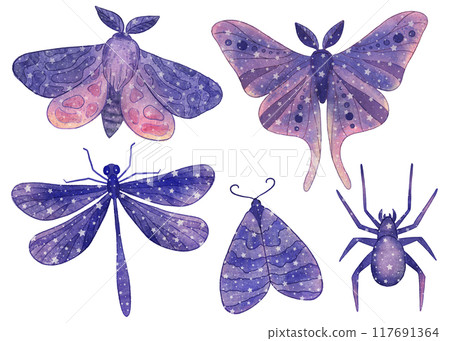 Cosmic insect. Boho magic butterflies, dragonfly, spider with purple space elements and stars 117691364