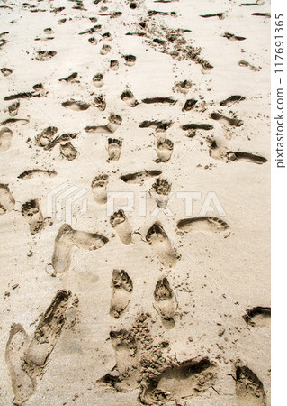 南威爾斯郊區海岸的沙灘上有許多腳印 117691365