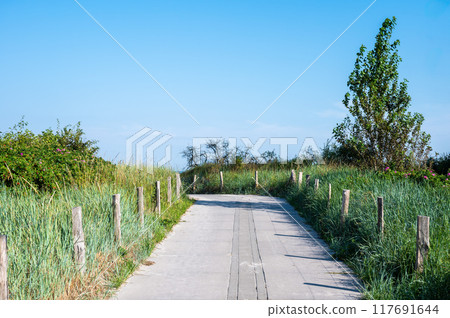 Countryroad through the dunes in Neustadt in Holstein, Germany Countryroad through the dunes in Neustadt in Holstein, Germany 117691644