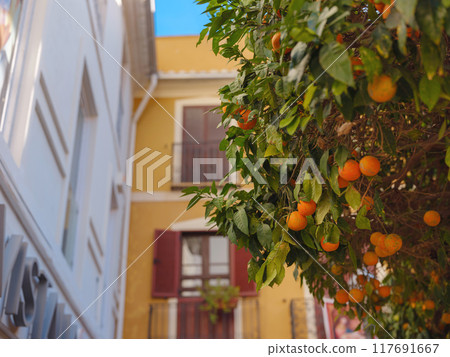 Denia, Costa Blanca, Historische Altstadt Denia, Costa Blanca, Historische Altstadt 117691667
