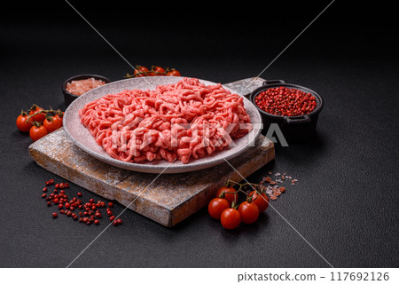 Fresh raw ground beef with salt and spices Fresh raw ground beef with salt and spices 117692126