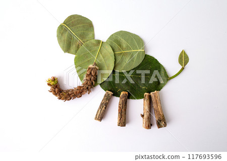 Creative craft project using natural elements 117693596