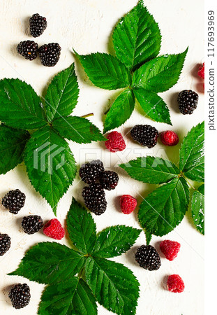 fresh blackberries and raspberries, with foliage, top view, on a light background, no people, fresh blackberries and raspberries, with foliage, top view, on a light background, no people, 117693969
