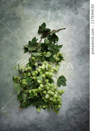 a branch with leaves of fresh hops, beer ingredient, top view , a branch with leaves of fresh hops, beer ingredient, top view , 117694030