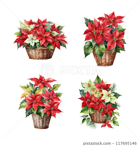 Christmas bouquets arranged from red poinsettia flowers. Happy holiday greenery. Watercolor style 117695146