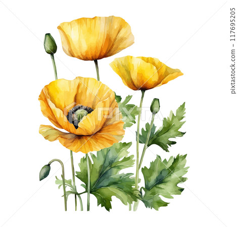 Red, blue, yellow poppy flower watercolor illustration vector. Meadow wild blossom set, field blooming plants 117695205