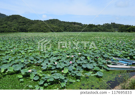 蓮花沼澤拉姆薩爾公約註冊地點 117695833