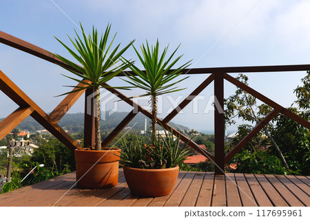 Sunlit deck with potted plants and a scenic view of distant hills and clear skies 117695961