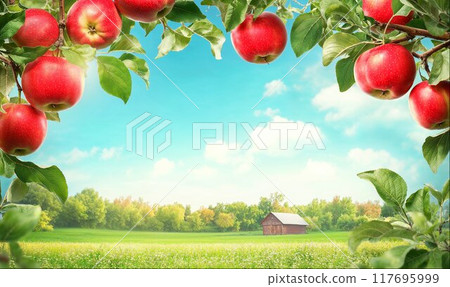 Frame made of apples on branches, sunny day, beautiful rural summer landscape background with copy space, AI generated 117695999