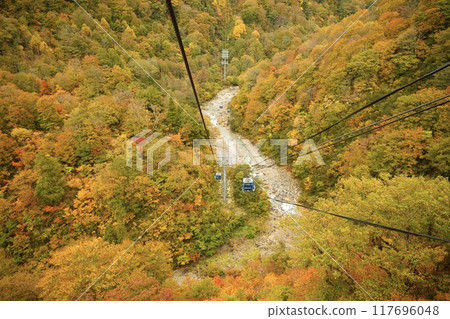 A ropeway running through autumn leaves A ropeway running through autumn leaves 117696048