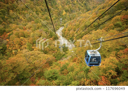 A ropeway running through autumn leaves 117696049