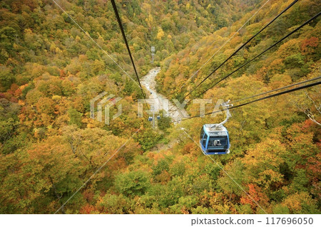 A ropeway running through autumn leaves A ropeway running through autumn leaves 117696050